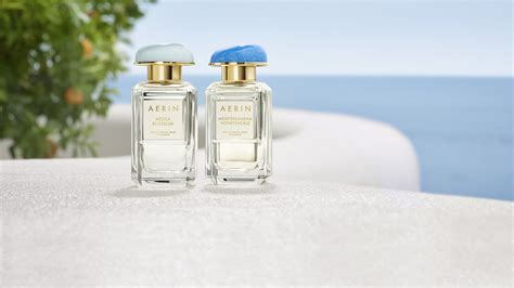 die besten sommer parfums damen